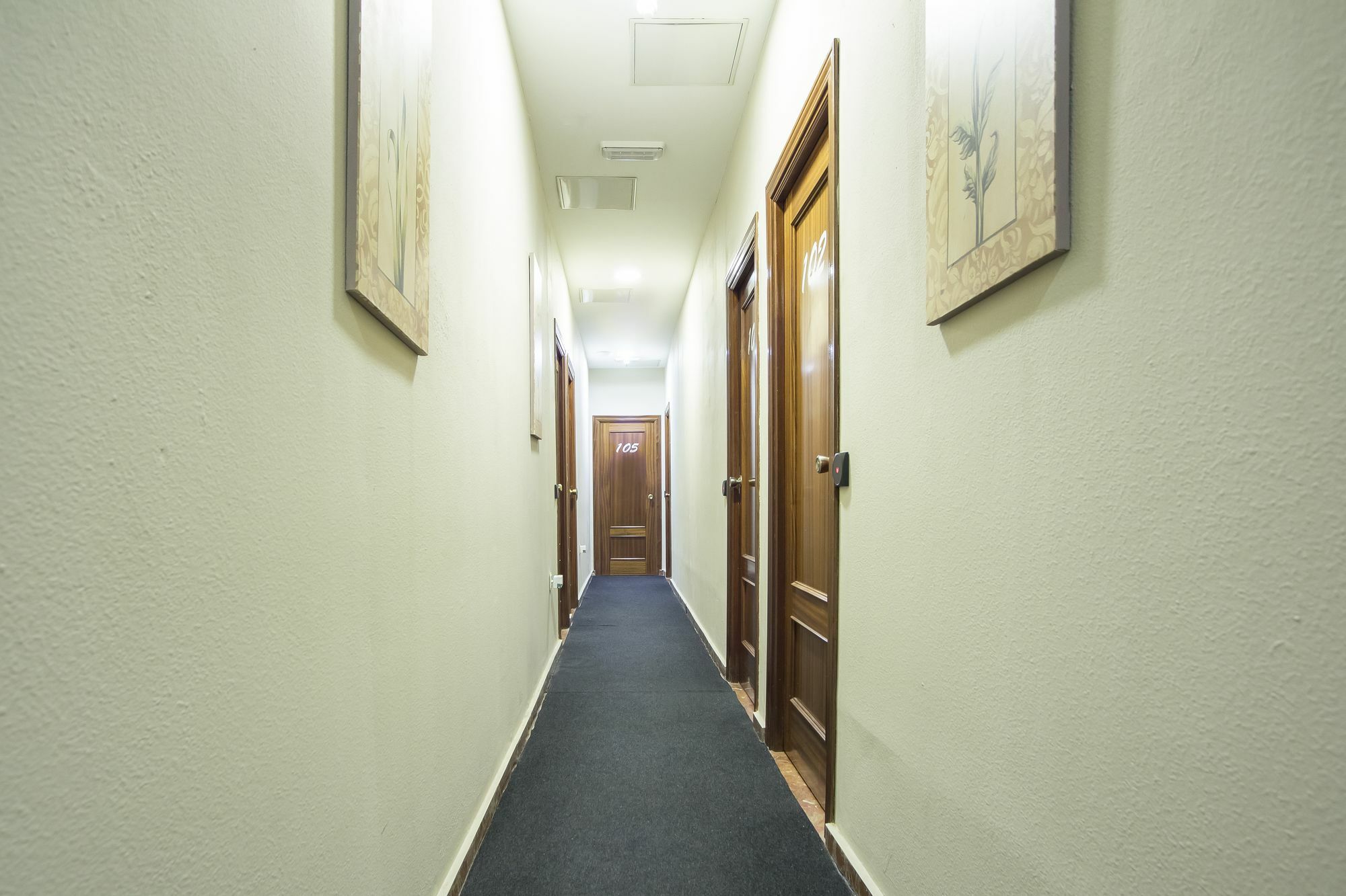 Hostal Ciudad Jardin Málaga Dış mekan fotoğraf